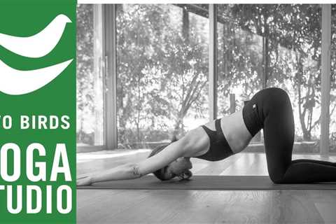 60 Minute Gentle 'Head To Toe' Vinyasa Slow Flow