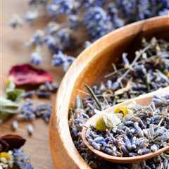 the best herbs for PMS