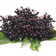 Elderberry: The All-Natural, Immune-Boosting Superfood