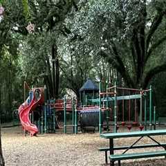 The Ultimate Guide to Sports Facilities for Children in Leon County, Florida