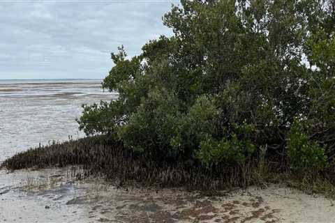 Exploring Wellness Events in Pasco, Washington