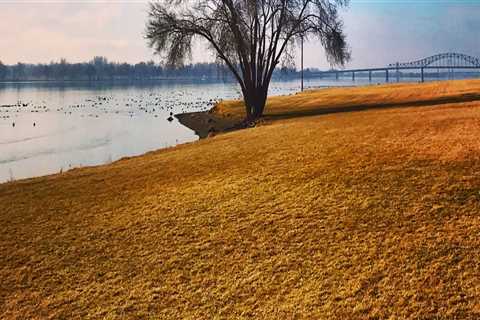 The Power of Wellness Events in Pasco, Washington: A Comprehensive Guide