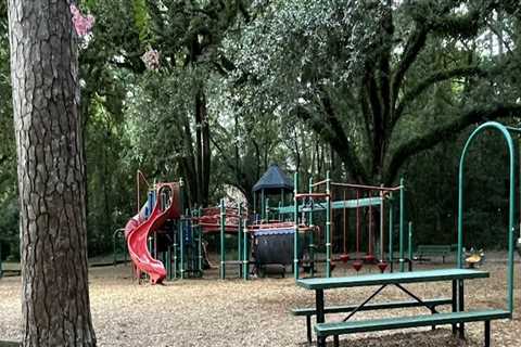 The Ultimate Guide to Sports Facilities for Children in Leon County, Florida